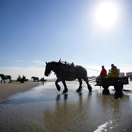 In By The דירה *