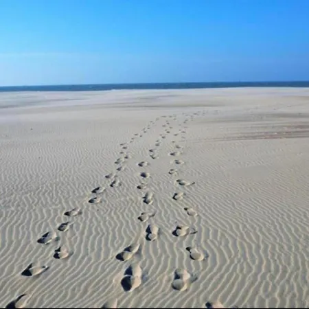 דירה In By The *