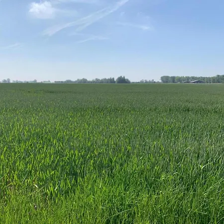 דירה In By The ניופורט