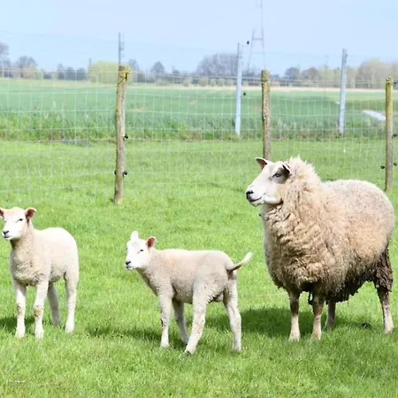 In By The ניופורט