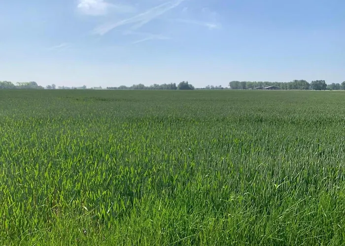 Apartment In By The Nieuwpoort