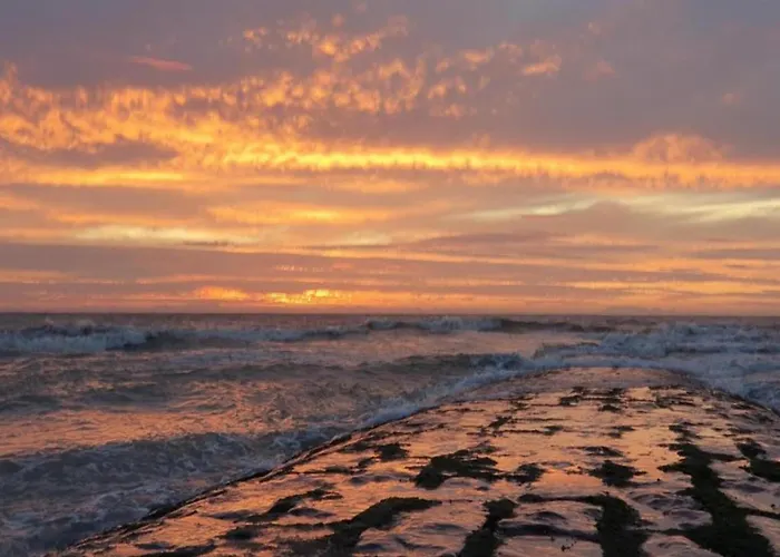 In By The Apartment Nieuwpoort