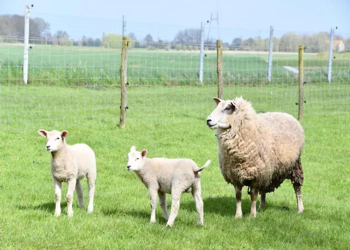 In By The Nieuwpoort